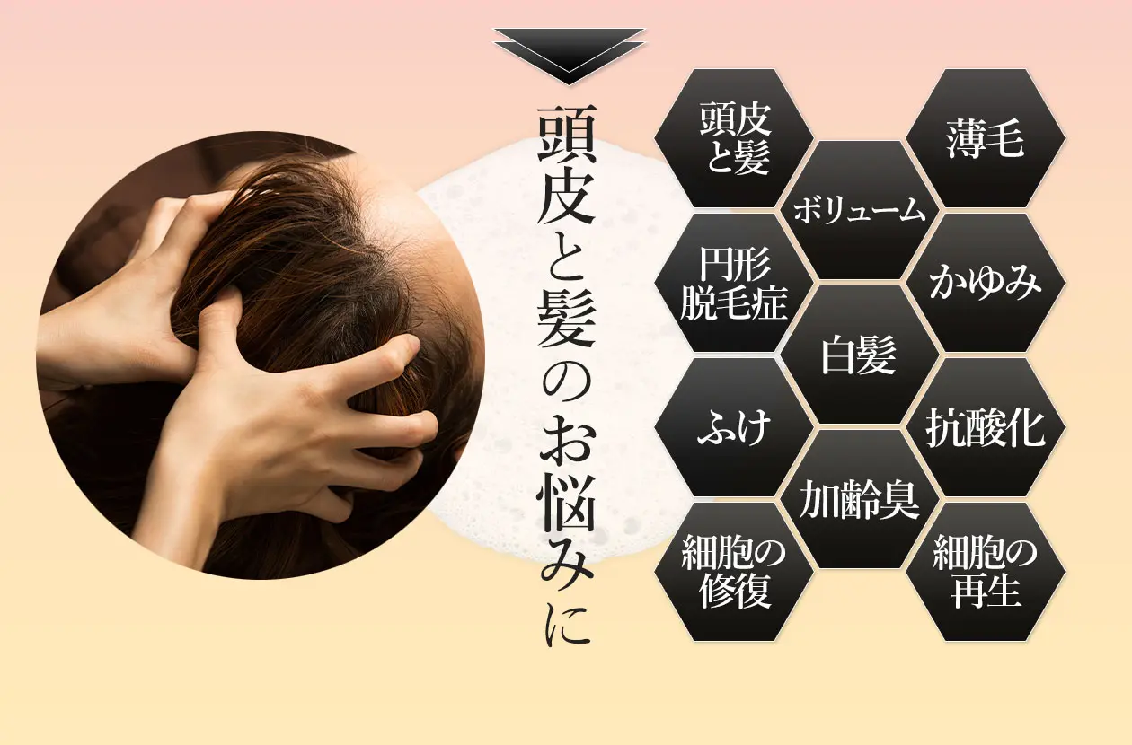 頭皮と髪のお悩みに