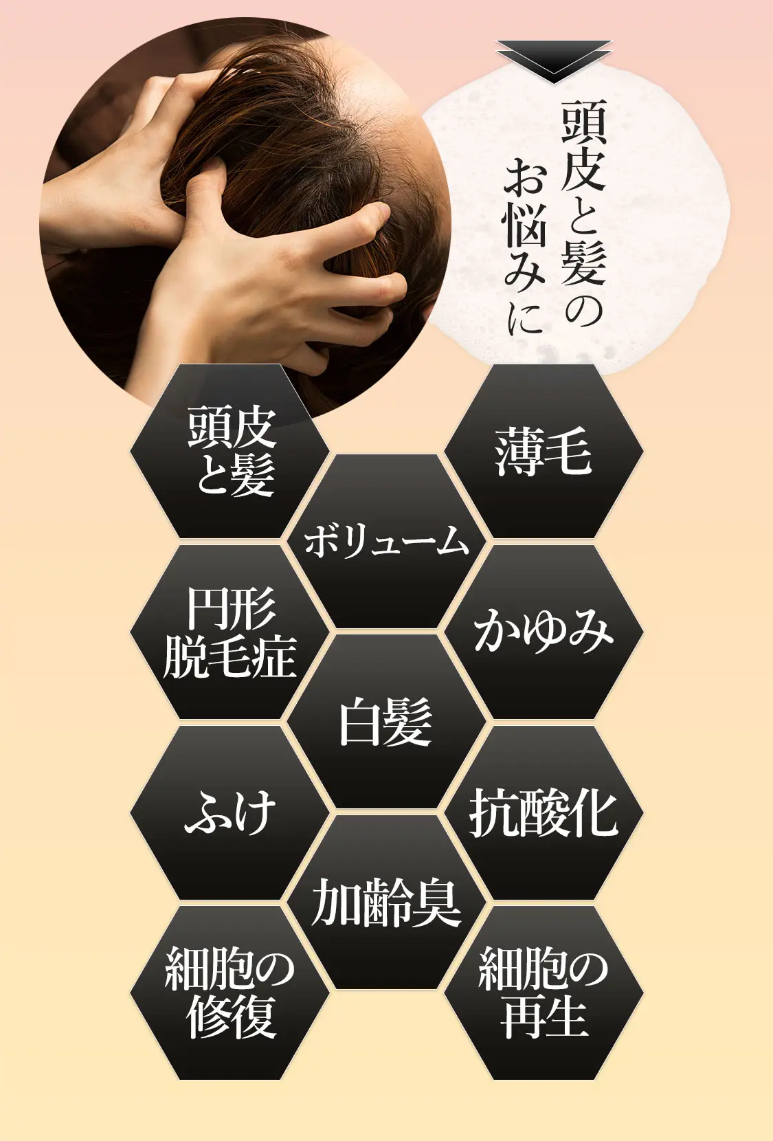 頭皮と髪のお悩みに