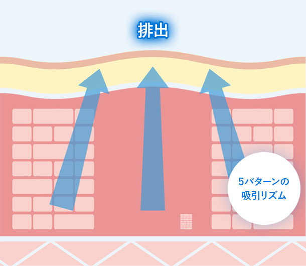 吸引 エステティシャンの手抜を再現